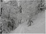 Koča pri Savici - Planina Lopučnica